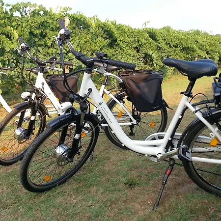 勒斯坦兹笛巴克酒店 农家乐