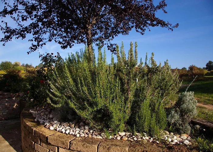 勒斯坦兹笛巴克酒店 *