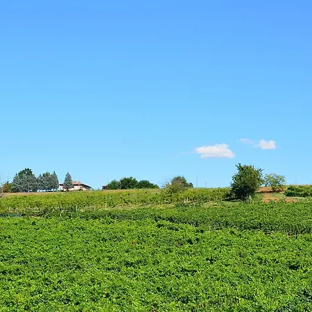 Le Stanze Di Bacco Agroturismo *