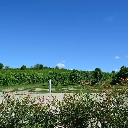 Le Stanze Di Bacco Монтевельо