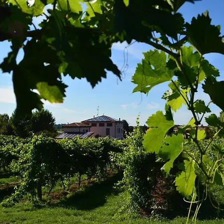 Le Stanze Di Bacco Фермерский дом *