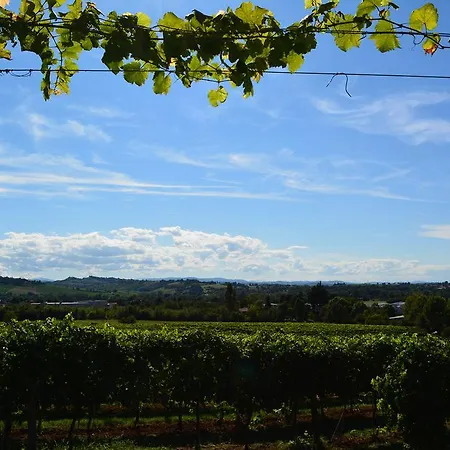 Le Stanze Di Bacco *