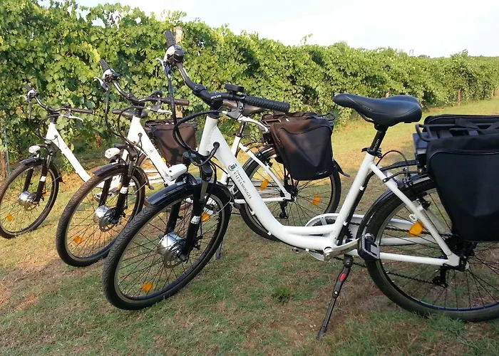 Le Stanze Di Bacco Farmház