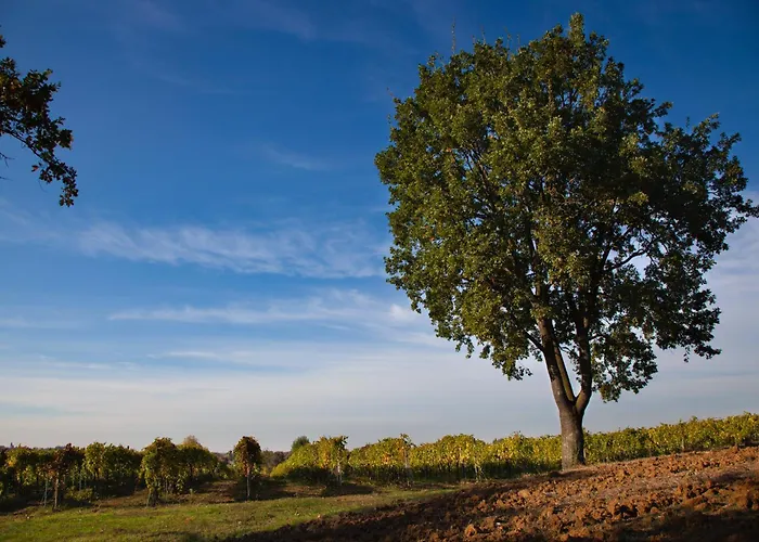 Farmház Le Stanze Di Bacco