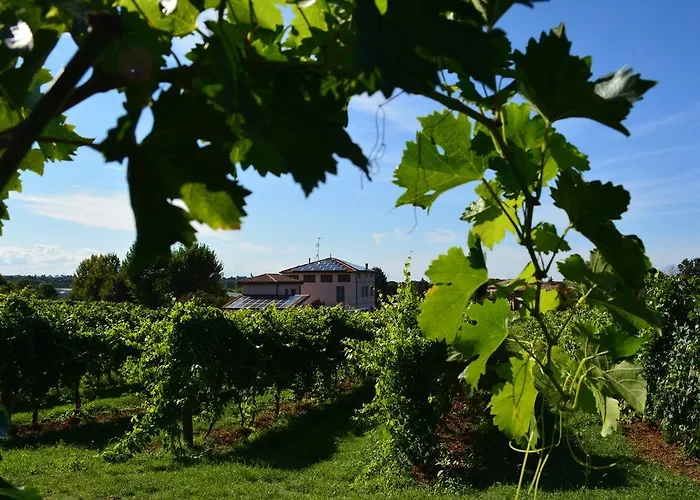 Le Stanze Di Bacco Farmház *