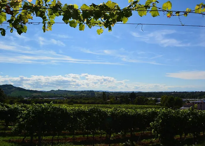 Le Stanze Di Bacco *